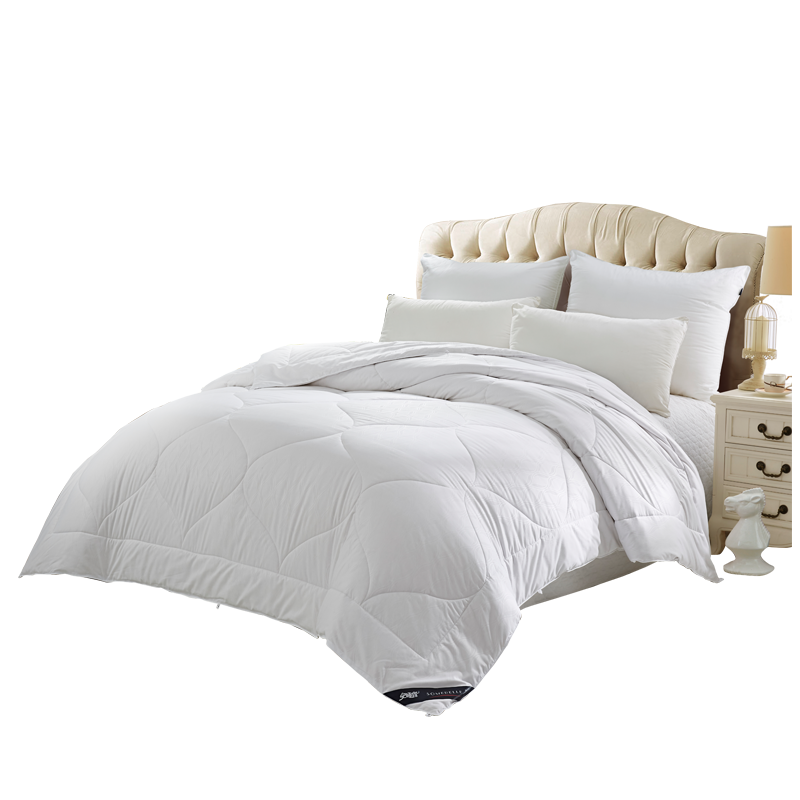 ��˯����˿����S62269AC