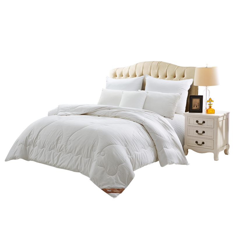 ��˯��ȫ�޲�˿��S62133AC