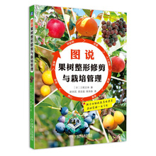 果树科学种植技术指导书籍 苗木栽培技术 果树栽培管理技术 果树病虫害防治 果树种苗育苗 图说果树整形修剪与栽培管理