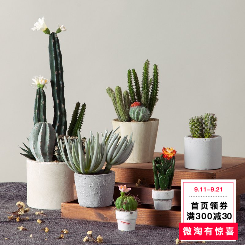 深秋也要追赶春天 娇艳欲滴的仿真植物