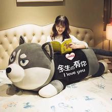 哈士奇公仔布娃娃可爱二哈毛绒玩具狗狗熊女孩睡觉抱枕长条枕玩偶