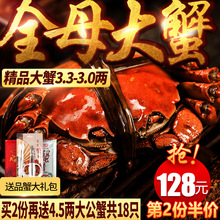 现货阳澄湖大闸蟹全母蟹新鲜特大鲜活螃蟹礼盒 两份送4.5两大蟹