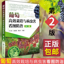 葡萄栽培管理技术 葡萄栽培 葡萄栽培技术 葡萄高效栽培与病虫害看图防治 葡萄种植栽培技术书 第2版 包邮