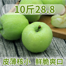 青苹果水果10斤批发一箱包邮新鲜小苹果山西萍果整箱吃的平果酸脆