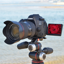 佳能6d2套机蚂蚁摄影 Canon/佳能 EOS 6D Mark II 24-105单反相机