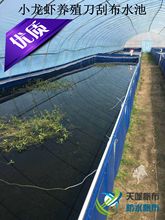 养殖小龙虾帆布水池大棚养殖大型帆布鱼池育苗帆布虾池泥鳅养殖池