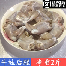 鲜活现杀牛蛙后腿2斤田鸡火锅烧烤餐厅酒店肉类食材绿色水产品