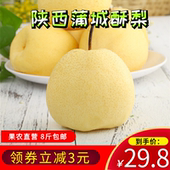 陕西蒲城酥梨8斤农家现摘新鲜孕妇水果非青皮水晶贡梨胜砀山雪梨