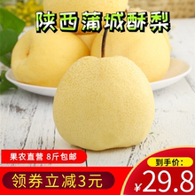 陕西蒲城酥梨8斤农家现摘新鲜孕妇水果非青皮水晶贡梨胜砀山雪梨