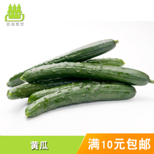 四季播 高产秋黄瓜种孑旱黄瓜种孑蔬菜种孑 包邮 黄瓜种孑 农家自