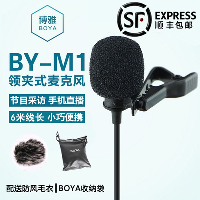 便携话筒