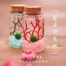 木塞玻璃微景观「恋人心愿瓶」 海藻球MARIMO 时光堂momo酱球藻君