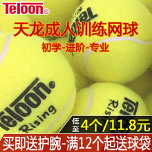 天龙网球801 5号 ACE Teloon 包邮 复活 正品 603 耐打训练60个装