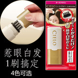 现货日本cielo宣若hoyu美源遮白发染发笔女补鬓角发际头顶一次性