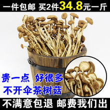 香菇 包邮 500g农家茶树菇特级不开伞2019新鲜茶薪菇干货250g 34.8元