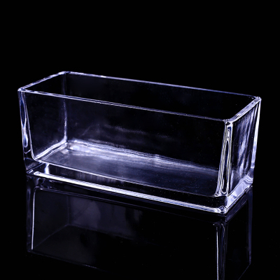 桌面透明玻璃花瓶水培长方形水养植物容器创意鱼缸花盆器皿大号