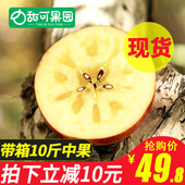 新疆阿克苏冰糖心苹果10斤整箱新鲜水果当季包邮非丑红富士苹果