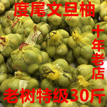 48年老树精选福建莆田仙游度尾红心文旦柚红心蜜柚柚子 包邮 特级