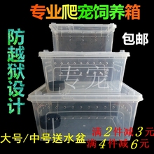 爬虫爬宠蛇龟蜘蛛守宫蜥蜴蝎子蜈蚣角蛙壁虎甲虫昆虫饲养盒饲养箱