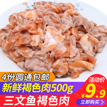 三文鱼碎肉边角料新鲜三文鱼褐色肉500g可做肉松猫狗宠物粮