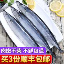 尚致 深海秋刀鱼 新鲜年货海鲜水产鲜活冷冻深海鱼烧烤食材