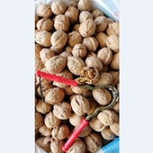 18新货薄皮核桃农家特产散装干货孕妇坚果原味500g核桃生1斤包邮