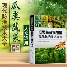 瓜类蔬菜病虫害现代防治技术大全种菜书籍大全大棚蔬菜种植技术大全蔬菜种植书籍大全蔬菜病虫害防治蔬菜病虫害诊断与防治农业书籍