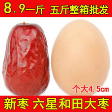 一等骏枣子可夹核桃仁 新疆特产和田大枣红枣2500g 整箱5斤装 包邮
