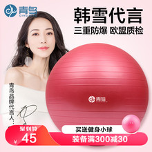 青鸟瑜伽球健身球加厚防爆正品减肥瑜珈球儿童运动孕妇助产分娩球