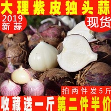 独头蒜2斤2019新蒜云南大理新鲜紫皮大蒜头农家新鲜湿蒜干糖醋蒜