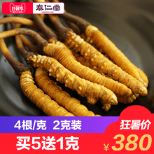 秦仁堂玉树冬虫夏草4条/克野生冬虫草那曲礼盒东正品2克8根西藏