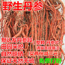 山东丹参茶三七丹参粉500g克 丹参片 包邮 丹参段紫丹参 野生丹参