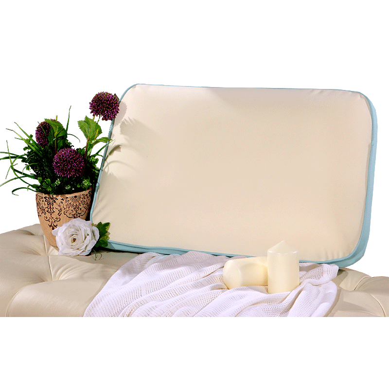 ���������ص��齺��ͷ813000258002