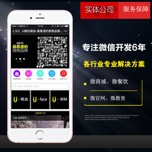 实体公司微公众平台建设服务号搭建微商城微店官网站开发制作设计