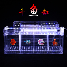 泰国斗鱼缸 斗鱼盒 斗鱼排缸 创意多格斗鱼饲养过滤缸