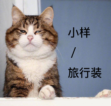 护肤品中小样合集旅游体验装 渔喵 fresh 雅诗兰黛ANR 倩碧资生堂