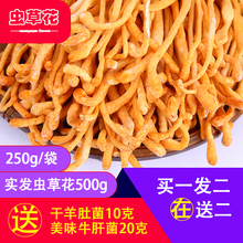 买一发四共500g无硫孢子头蛹虫草煲汤材料 干虫草花干货精选正品