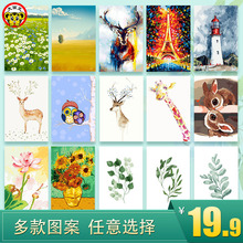 大画王diy数字油画手绘油彩画客厅装饰画休闲减压填充自己画