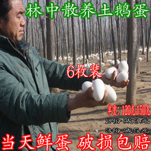 当天现捡 新鲜鹅蛋正宗处子天然原生态散养当天农家土鹅蛋孕妇