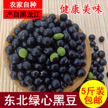 东北绿芯心小黑豆5斤纯天然五常青仁发芽打豆浆泡醋杂粮农家自产