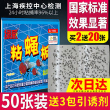 粘蝇纸苍蝇贴苍蝇药蝇子神器沾灭捕捉器强力板家用杀手蚊子一扫光
