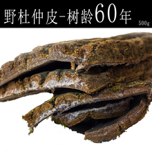 野生老树厚杜仲皮张家界原产地发货泡酒药材配人参枸杞煲汤茶500g