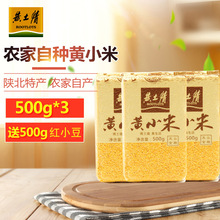 黄土情小米粥 小黄米 延安小米 黄小米杂粮组合500g*3+500g红小豆