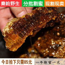 秦岭野生蜂巢蜜 土蜂蜜纯百花蜜天然农家自产嚼着吃老巢蜜一斤装