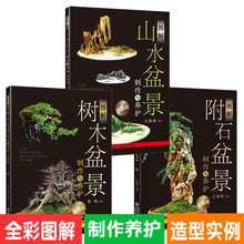 入门 教程 盆景制作教材入门盆景书籍图书大全盆景造型设计图盆景造型设计书 山水盆景 彩图版 树木盆景制作与养护 图解附石盆景
