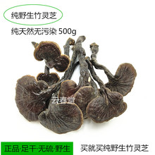 竹灵芝云南野生灵芝长颈红灵芝整枝林芝纯野生竹灵芝紫灵芝片500g
