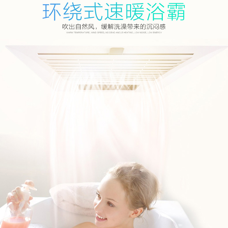 ����ԡ��FV-RB13