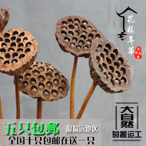 莲蓬干花天然禅意装饰真杆莲蓬带籽原生态落地拍摄道具干花花束