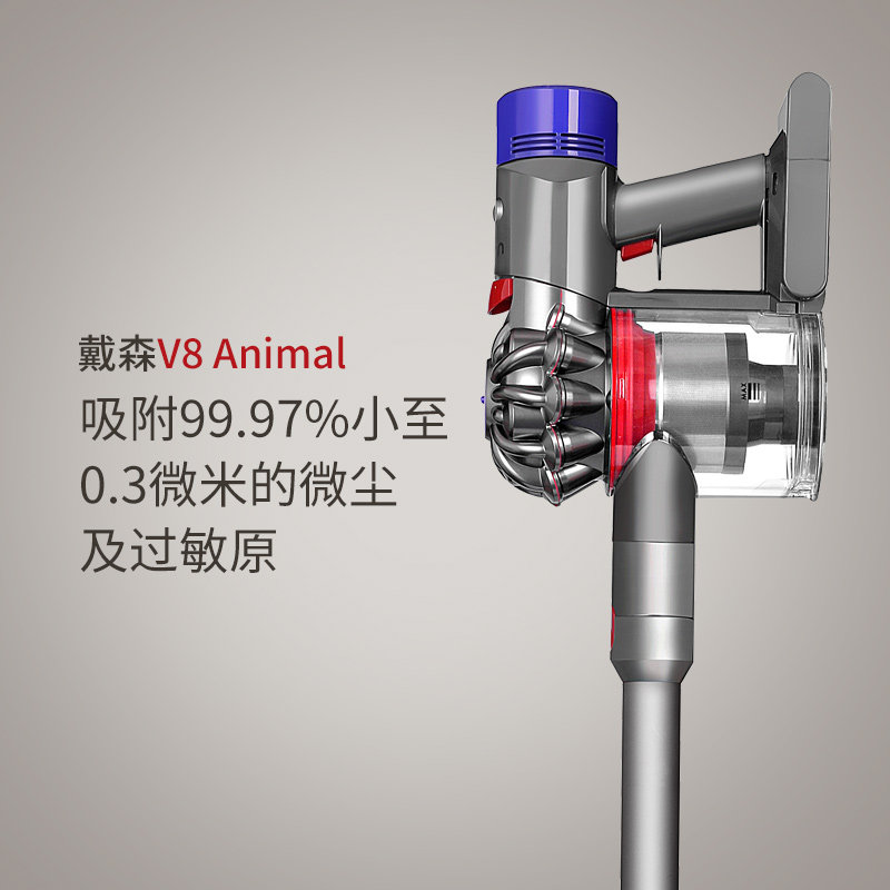��ɭ�����ֳֳ���������v8animal