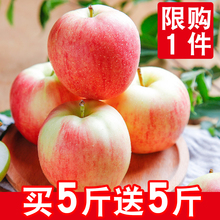 包邮 当季水果一箱应季冰糖心红富士丑苹果 新鲜苹果水果10斤批发